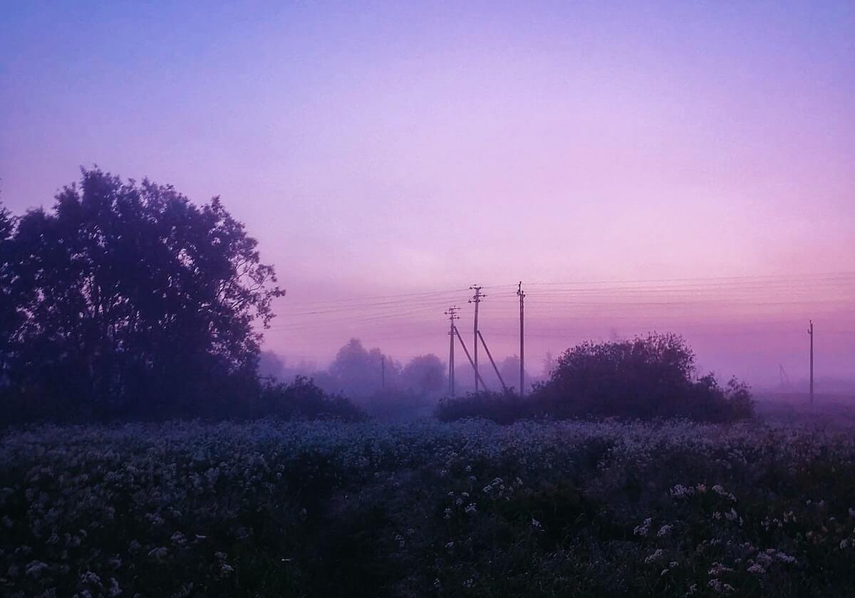 天天影院文本观察：围绕前提藏在哪里做把图和文字一起读
